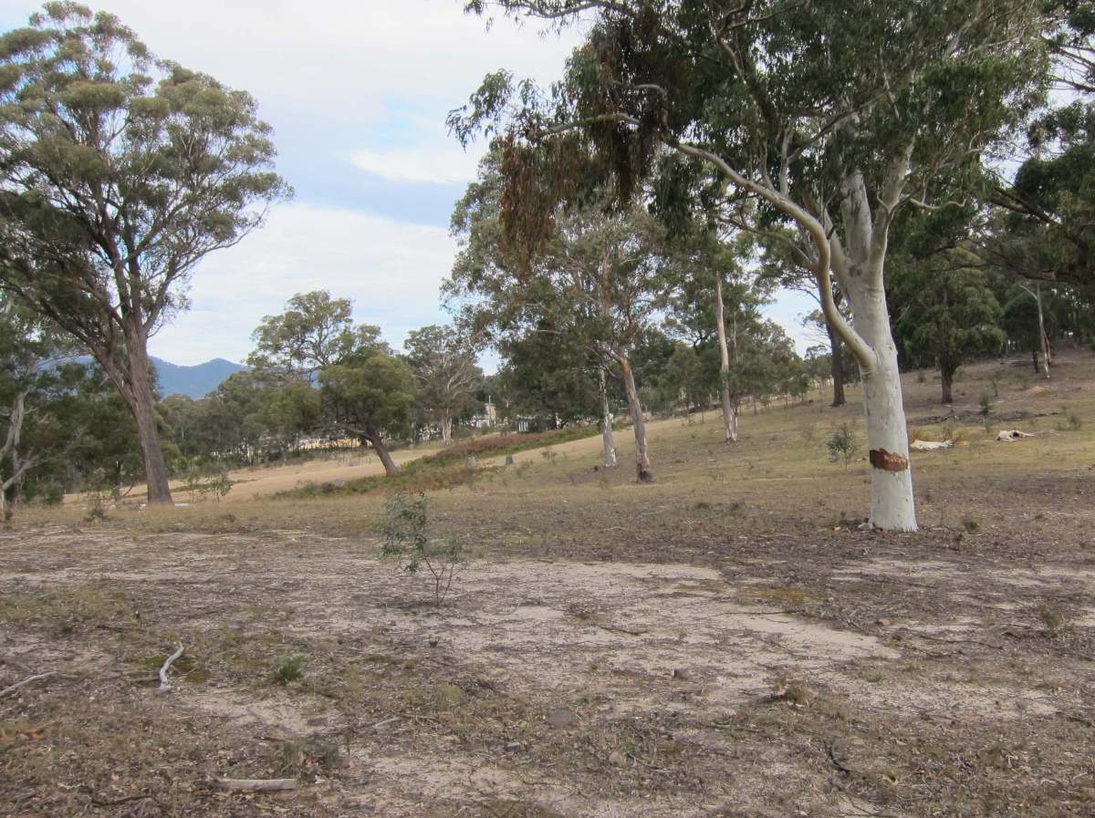 In the beginning…..